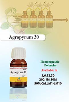 Agropyrum