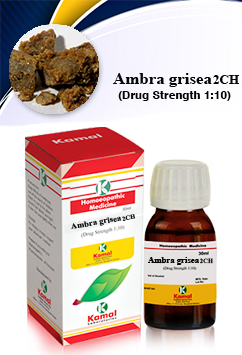 AMBRA GRISEA 2CH