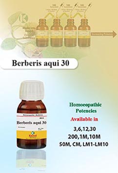 Berberis Aquifolium