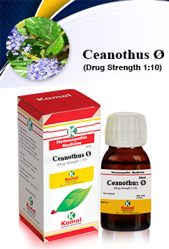 CEANOTHUS Ø | Mother Tinctures | Kamal Laboratories, Best Homeopathic  Medicines Manufacturing Company