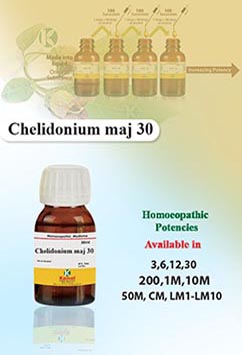 Chelidonium maj