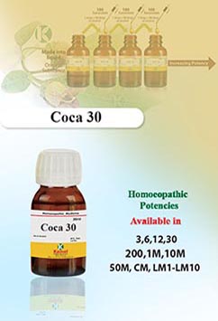 Coca-Erythroxylon coca