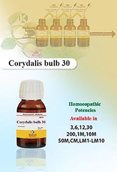 Corydalis bulb