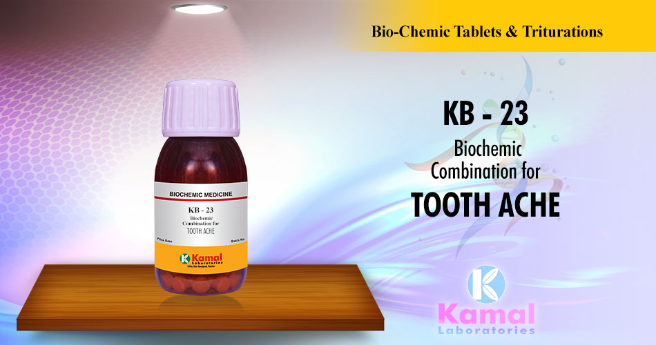 KB-23 (500gm Lactose base)
