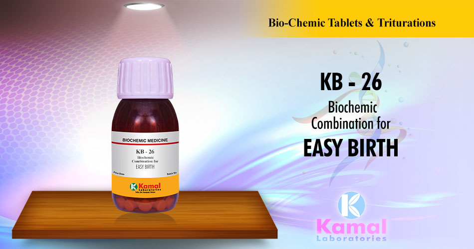 KB-26 (500gm Lactose base)