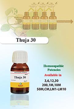 Thuja | Potencies (Dilutions) | Kamal Laboratories, Best Homeopathic  Medicines Manufacturing Company