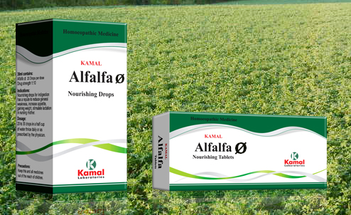 Alfalfa Mother Tincture — Kamal Laboratories